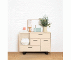 CHALK PAINT CP-38 NUDE
